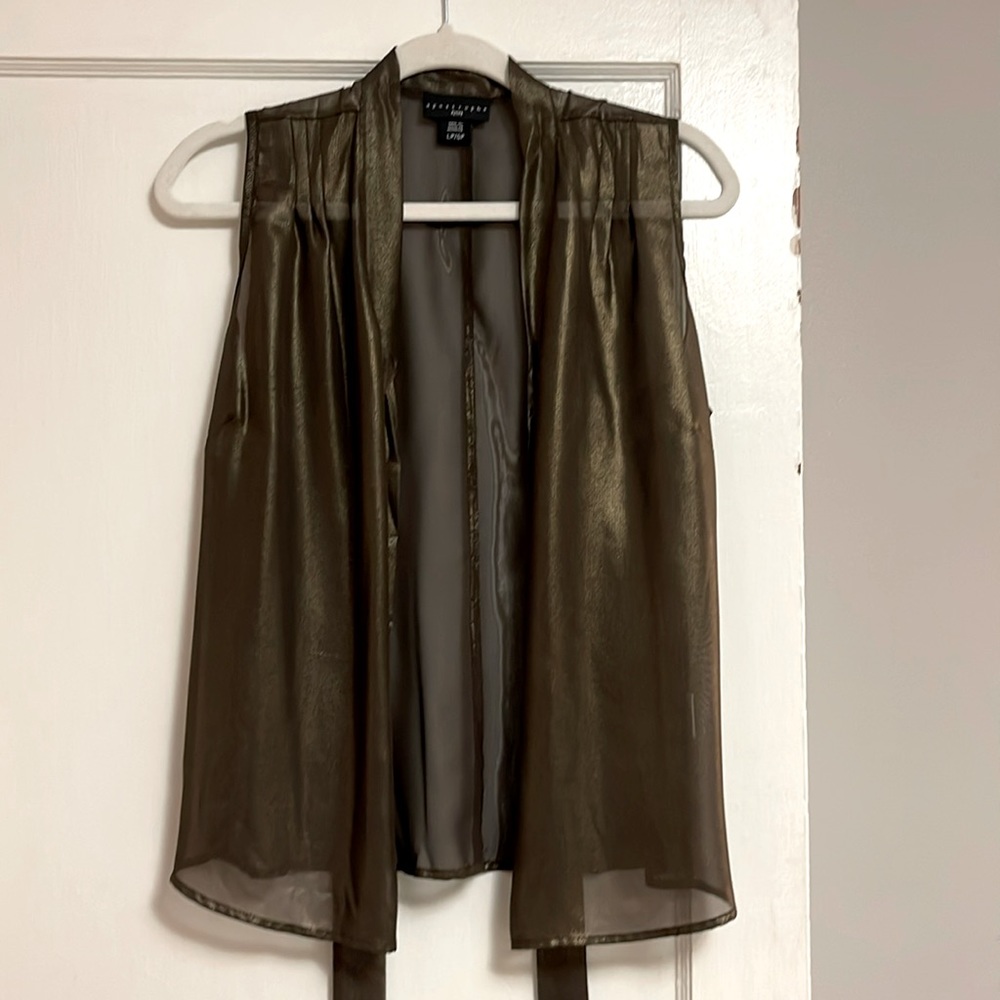 Sleeveless Metallic Sheer Blouse (L)